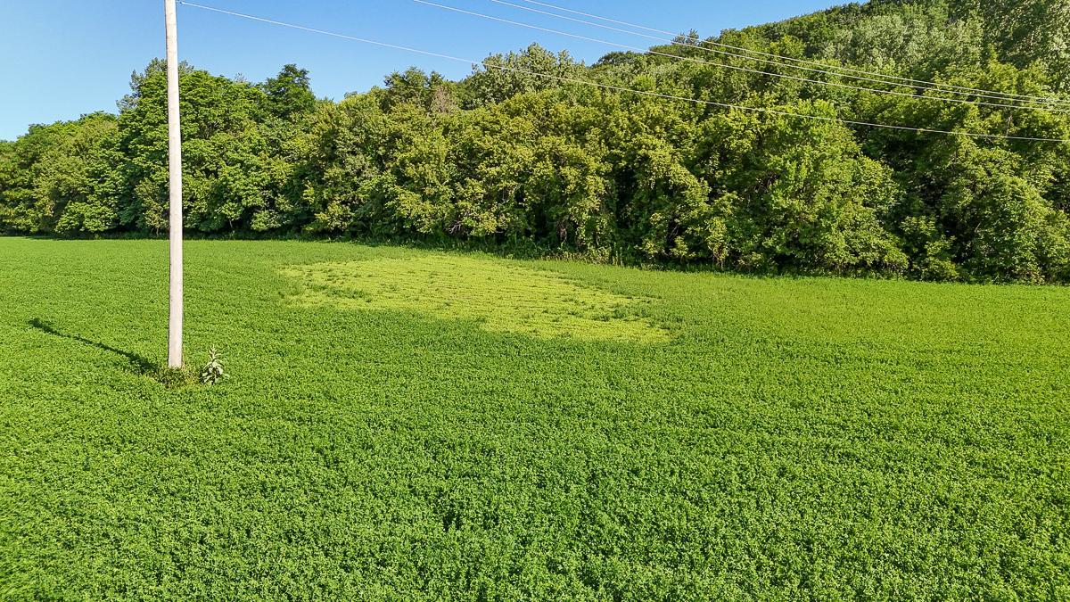 dji_fly_20250708_090006_0573_1752014742054_photo.jpg