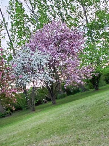 14813 160th Street SE, Red Lake Falls, MN 56750