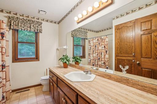 20715 Minnie B Grant Lane NE, Wyoming, MN 55092