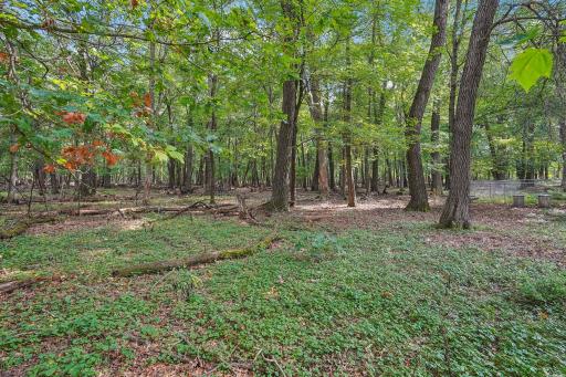 57-web-or-mls-Minnie B Grant Ln NE-S1609-057.jpg