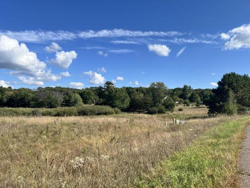 20715 Minnie B Grant Lane NE, Wyoming, MN 55092