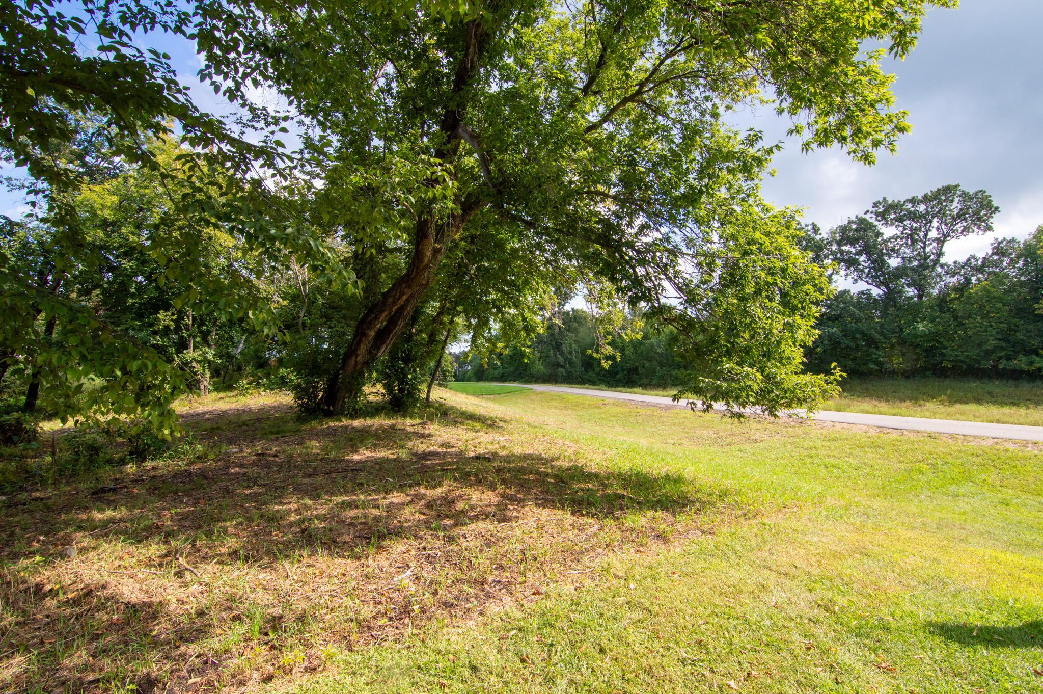 Situated on wooded rolling lot in area of newer homes