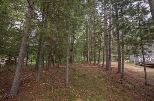 1155 E Horseshoe Drive NW, Backus, MN 56435