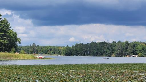 TBD* C.R. 43, Pine River, MN 56474