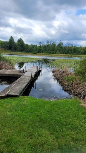 TBD* C.R. 43, Pine River, MN 56474