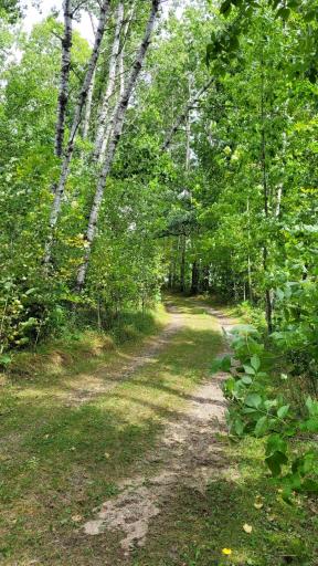 TBD* C.R. 43, Pine River, MN 56474