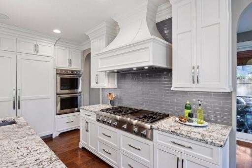 High-end Thermodor appliances and beautiful custom hood.