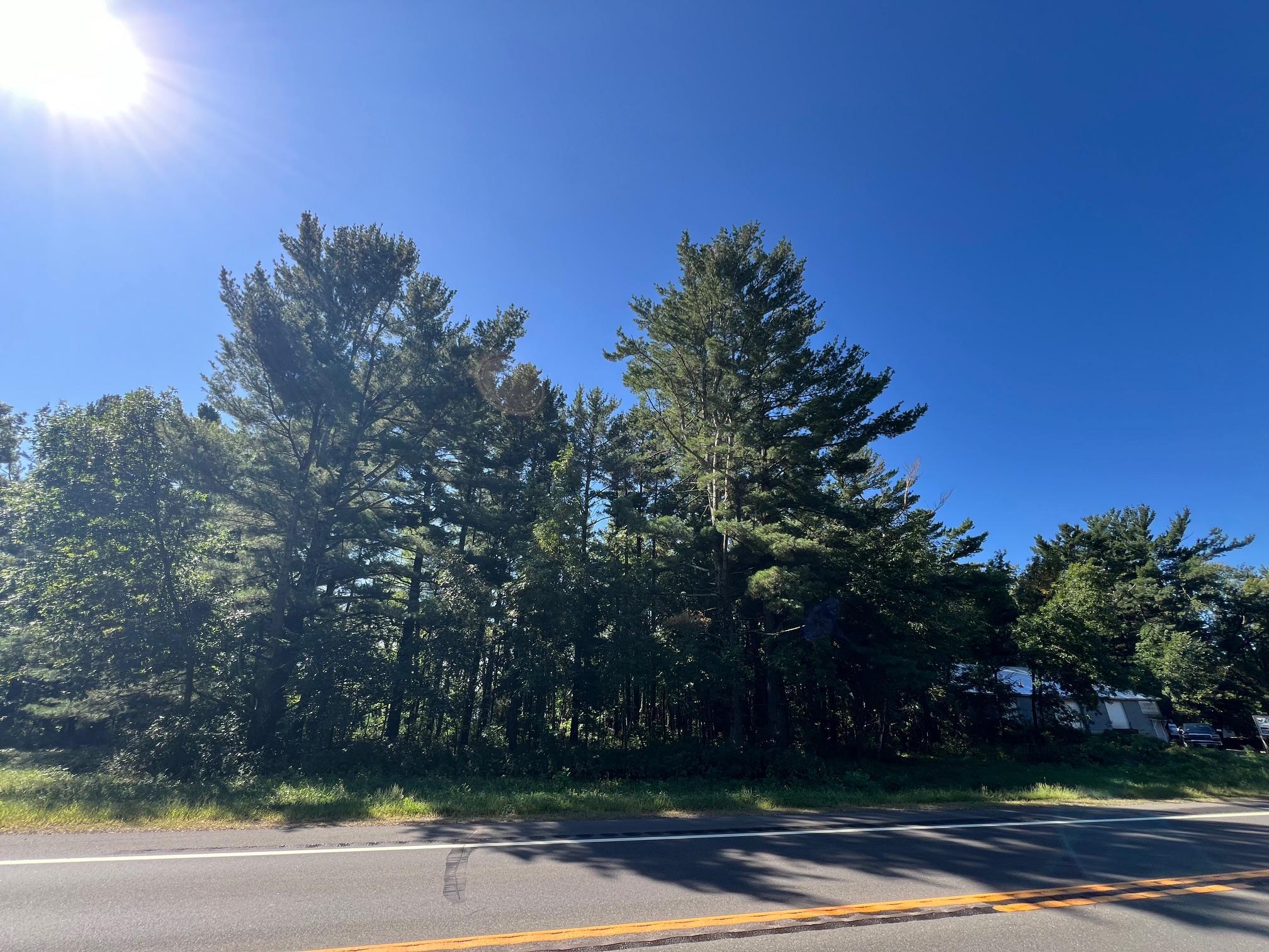 Wooded lot