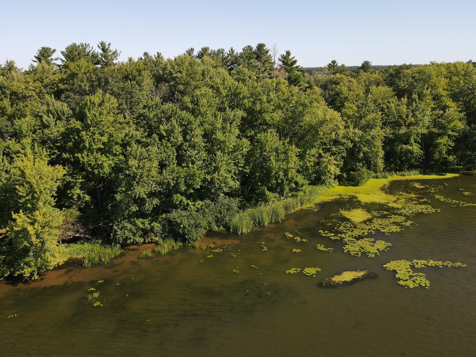 Quiet stretch of lakeshore