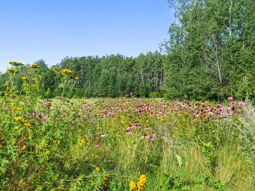 12483 135th Avenue, Menahga, MN 56464