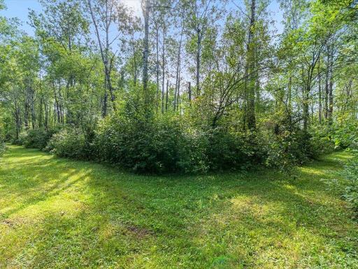 12483 135th Avenue, Menahga, MN 56464