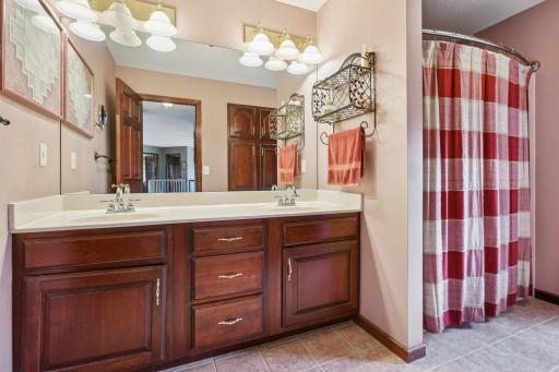 16465 45th Avenue N, Plymouth, MN 55446