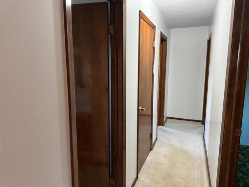 Photo for 110 E Stokes Avenue, Badger, MN 56714 - Listing #6781879 110 E Stokes Avenue, Badger, MN 56714