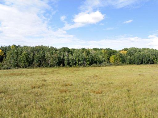 17087 County Road 2, Brainerd, MN 56401