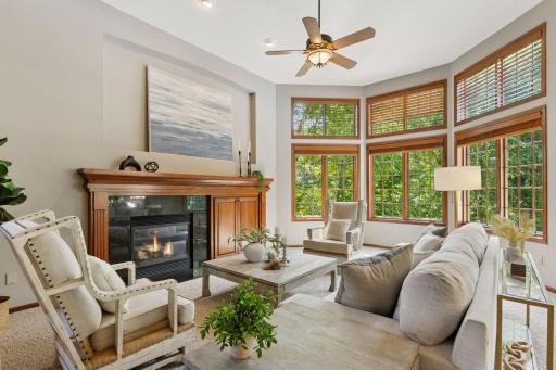 315 Lythrum Lane, Hamel, MN 55340
