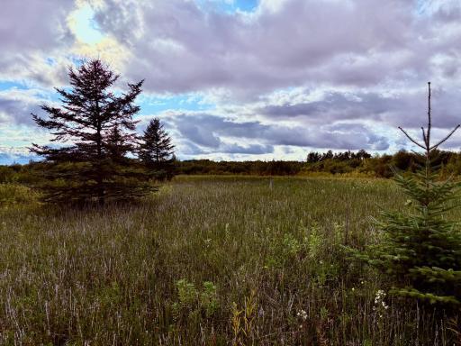 North side looking west