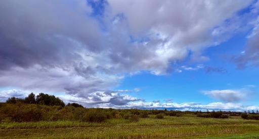 Southwest end of property