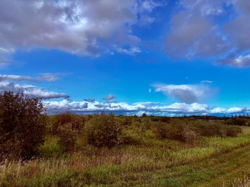 Southwest end of property