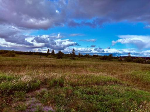 South side of pond from road