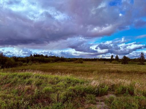 South middle from east driveway
