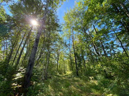 Photo for 4048 Little Road, Barnum, MN 55707 - listing #6782527 4048 Little Road, Barnum, MN 55707