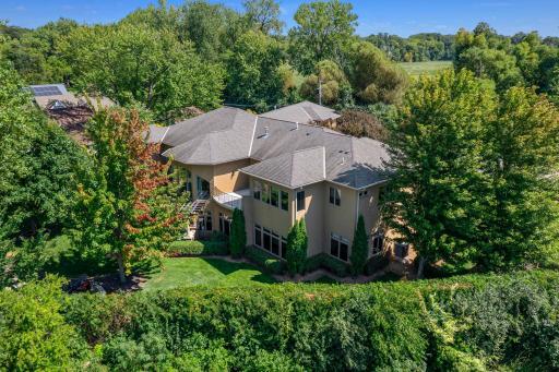 overview of Birch Blood