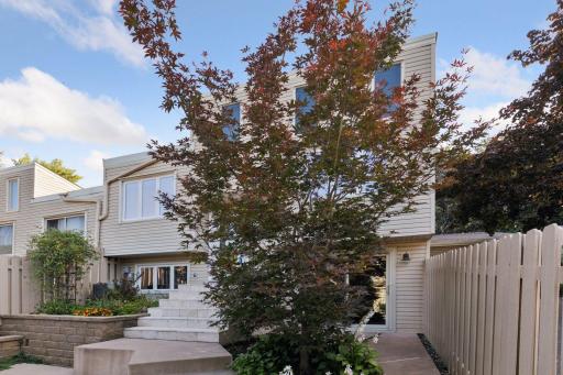 Really sweet private concrete paio - nice privacy fence