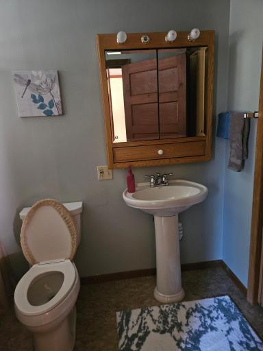 6402 Krull Street, Williams, MN 56686