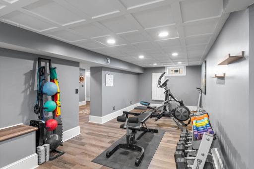 Finished lower level which is great for workout room or family room