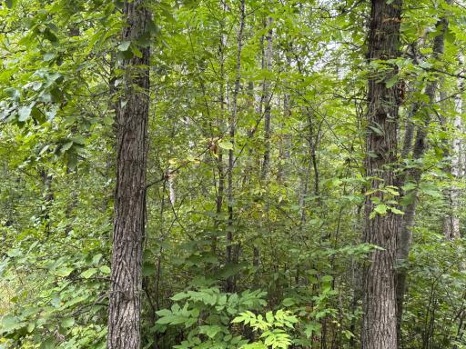 30053 400th Street, Aitkin, MN 56431