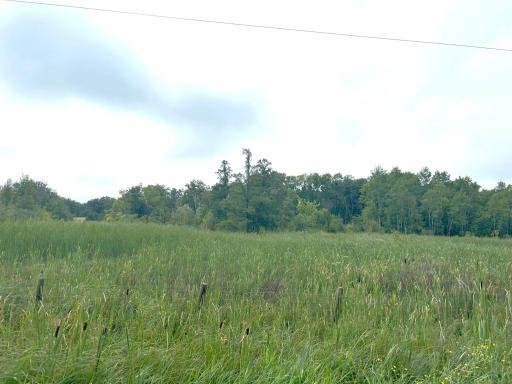 TBD 190th Street, Long Prairie, MN 56347