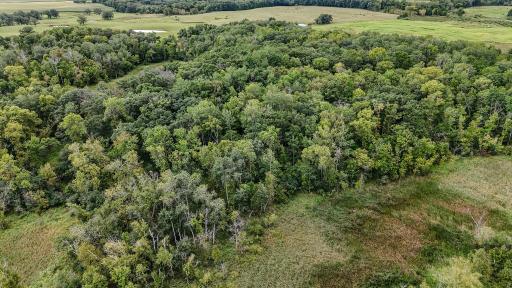 TBD 190th Street, Long Prairie, MN 56347