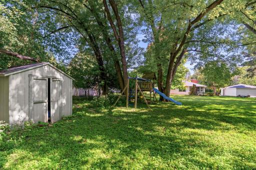 Heavily wooded backyard