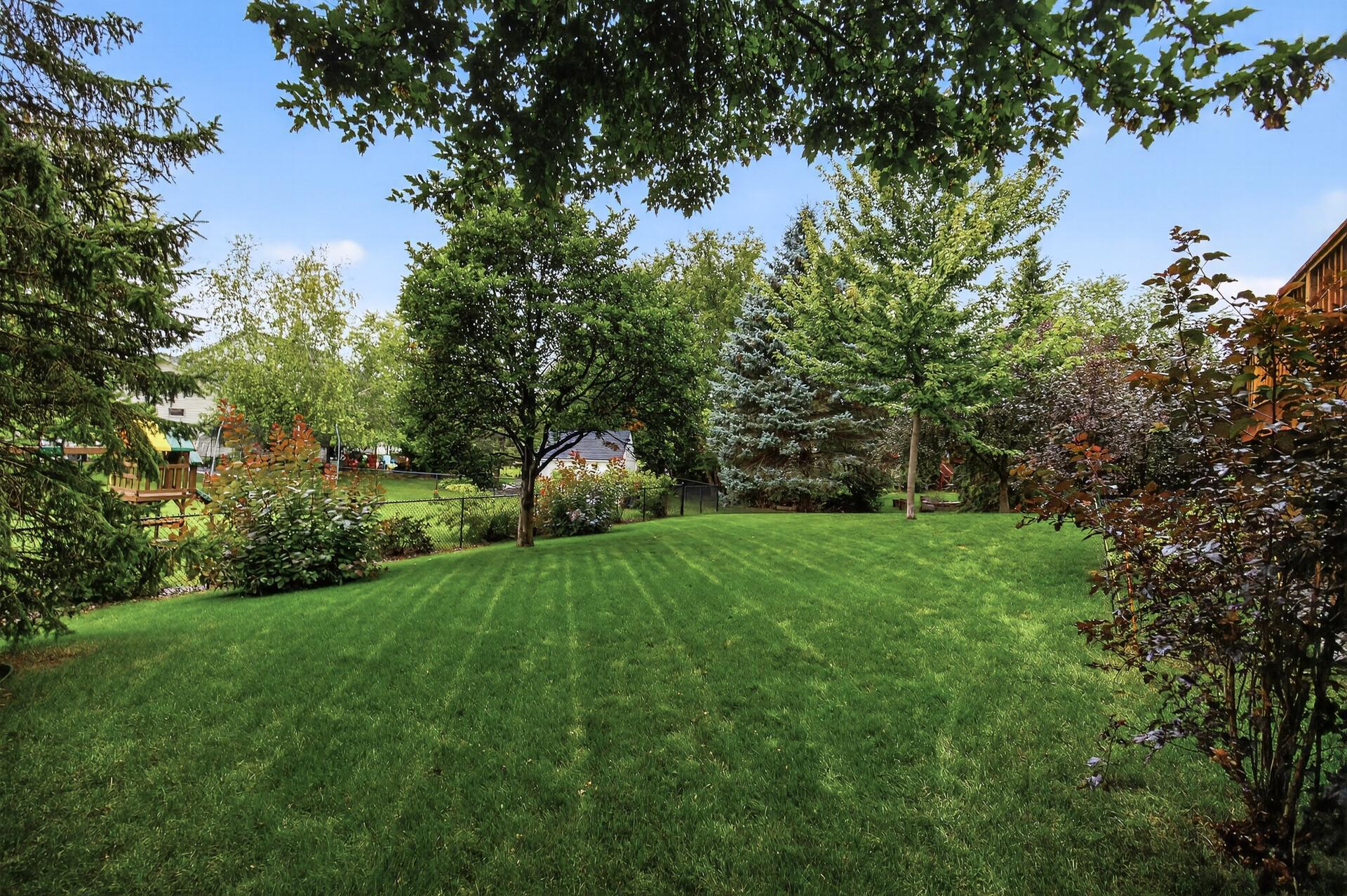 Great Backyard with beautiful landscaping