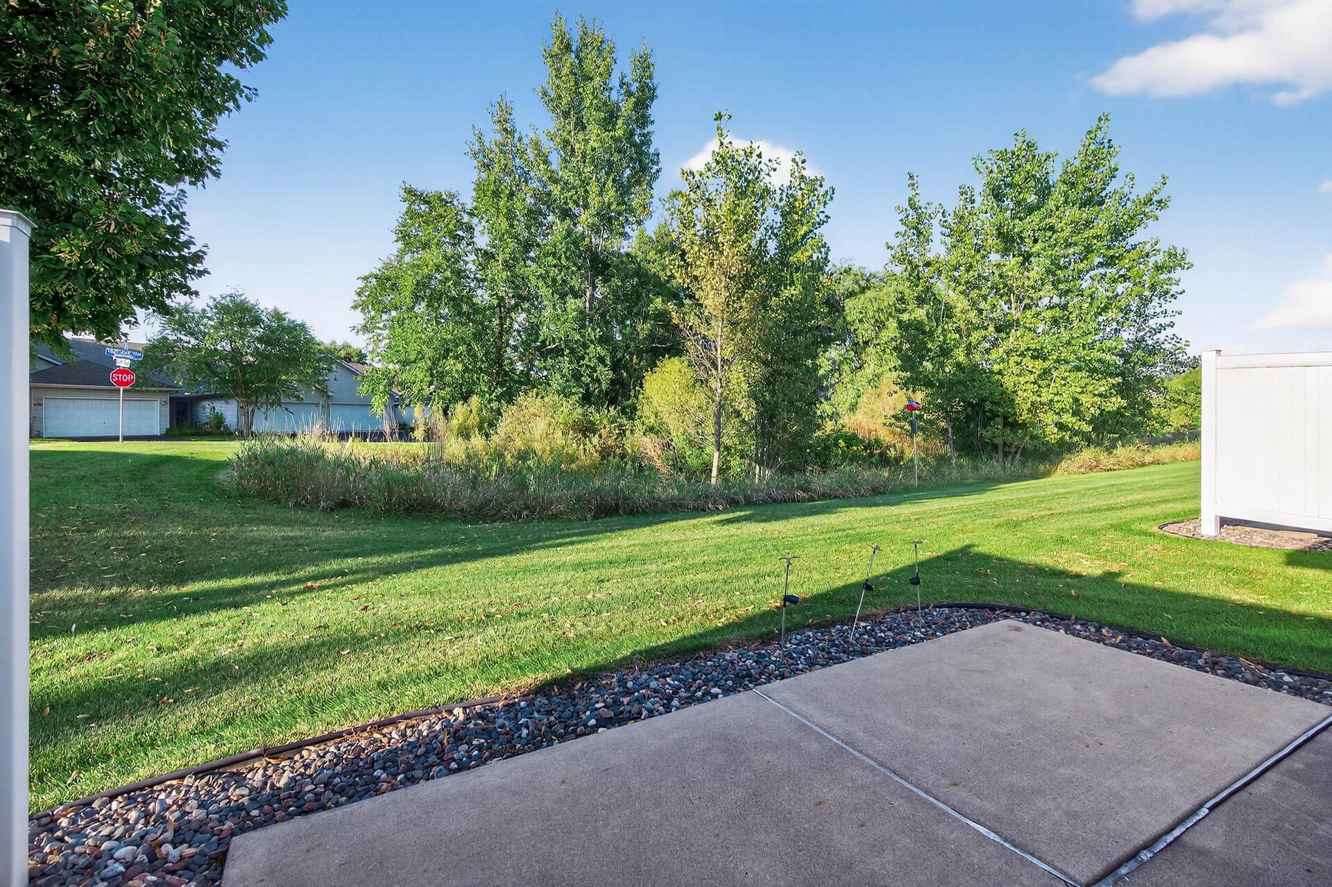 View from patio-wetland/woods/greenspace