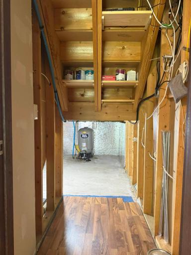 A shot of the storage and crawl space under the stairs.