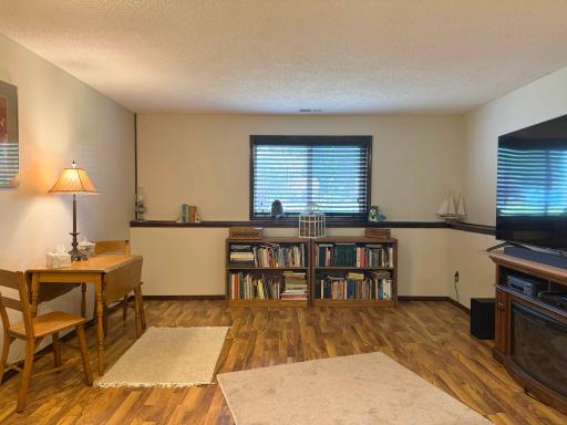 More views of the lower level family room.