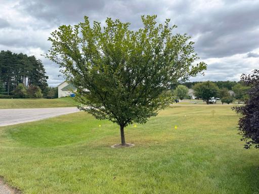 2615 Appletree Road, Princeton, MN 55371