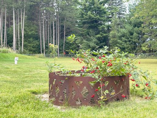 2615 Appletree Road, Princeton, MN 55371