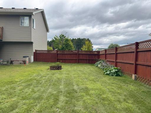 A shot within the fencing of the backyard.