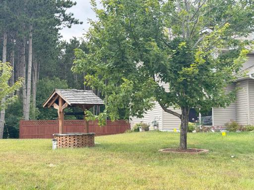 2615 Appletree Road, Princeton, MN 55371