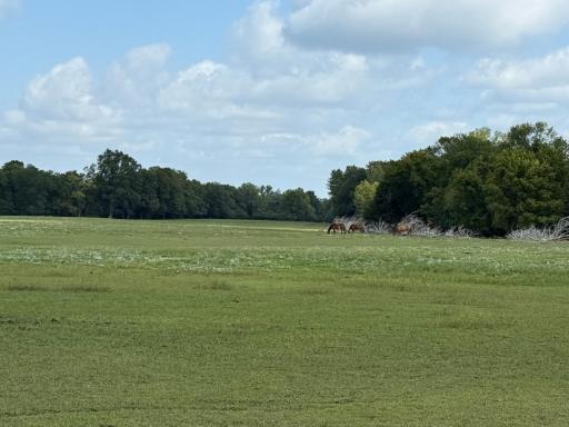 38388 512th St, North Mankato, MN 56003