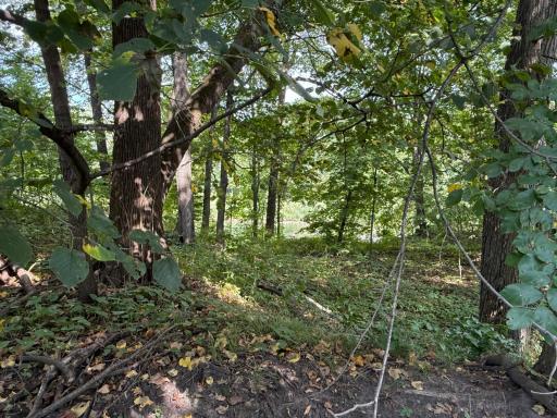 38388 512th St, North Mankato, MN 56003