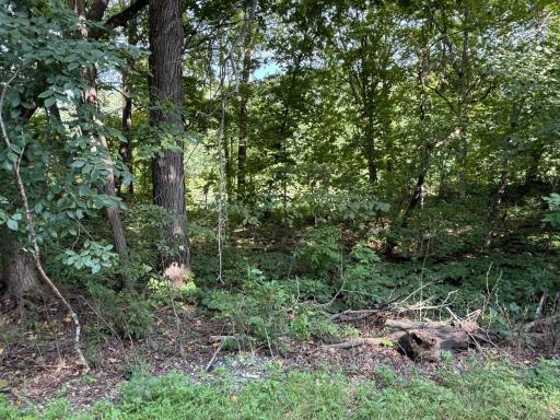 38388 512th St, North Mankato, MN 56003