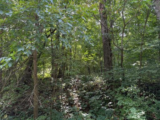 38388 512th St, North Mankato, MN 56003