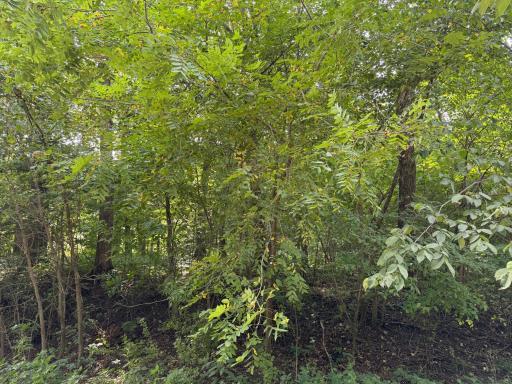 38388 512th St, North Mankato, MN 56003