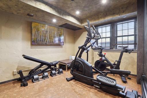 The exercise room is located on the lower level for the convience of a good workout at home.