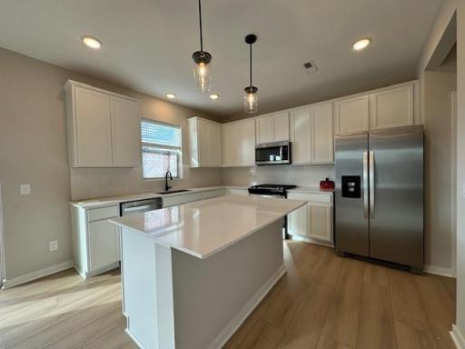 12544 Fraizer Street NE, Blaine, MN 55449