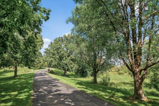 6155 Country Lane, Loretto, MN 55357