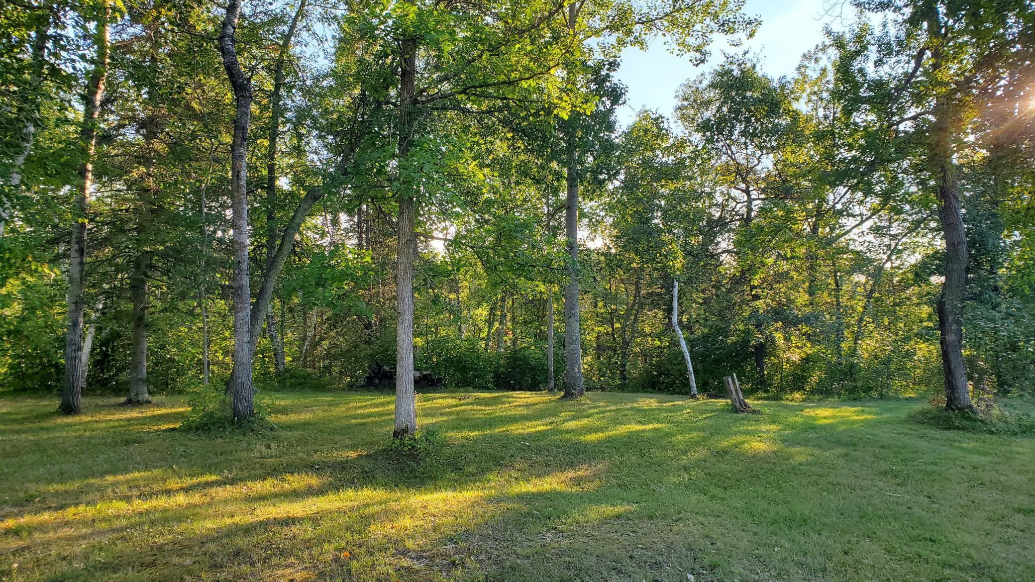 Amazing Neighborhood